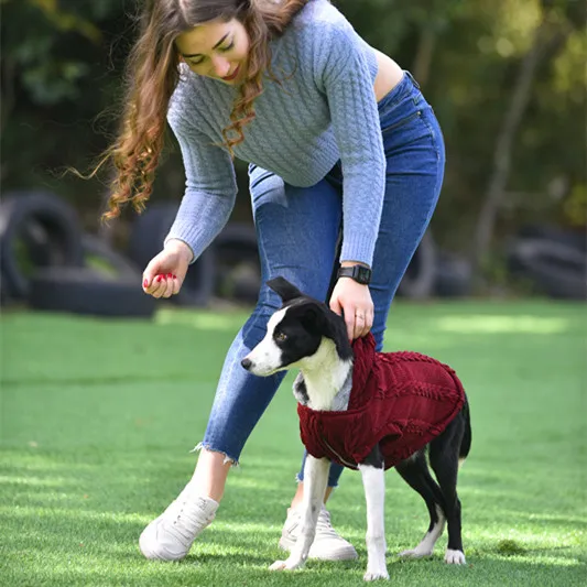 Свитер с капюшоном для домашних собак, одежда для осени и зимы, теплая Толстая Классическая Толстовка, Однотонный свитер для маленьких и средних собак