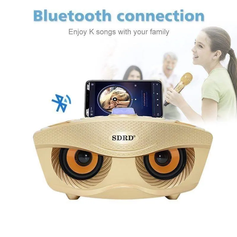 Россия Золотой динамик Набор двойной Bluetooth динамик 2 беспроводные микрофоны открытый семья KTV стерео микрофон в форме совы