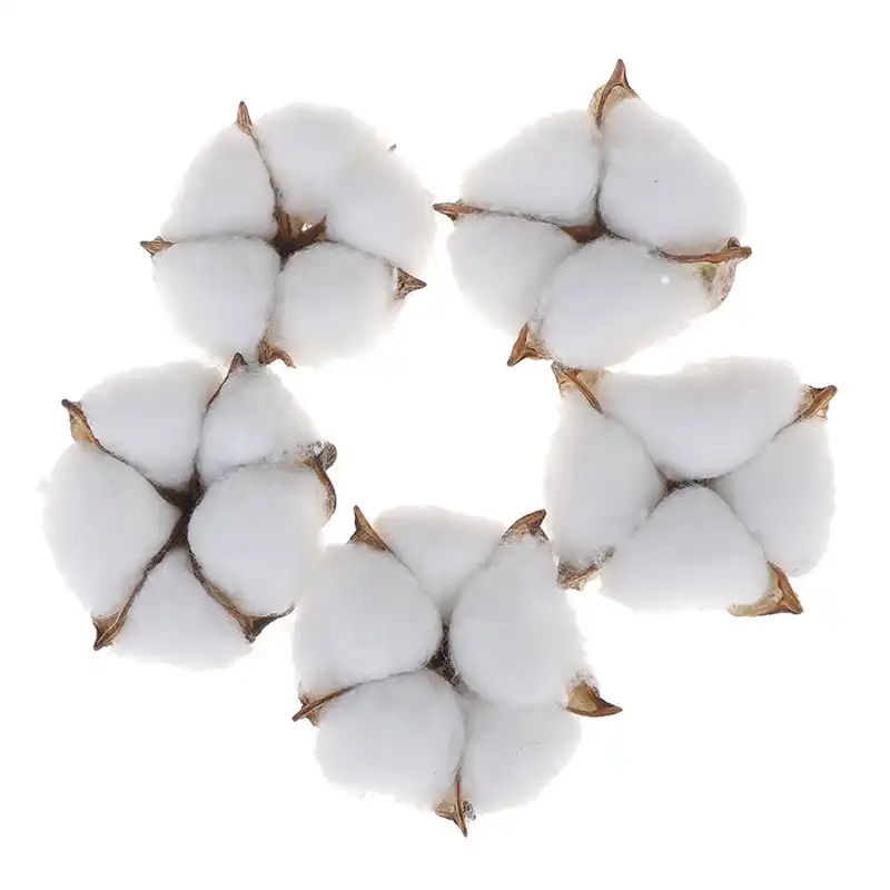 Fleur Sechee Naturelle Coton Plante Artificielle Branche De Fleurs Pour Decoration De Fete De Mariage Fausse Fleur Decoration De La Maison L Aliexpress