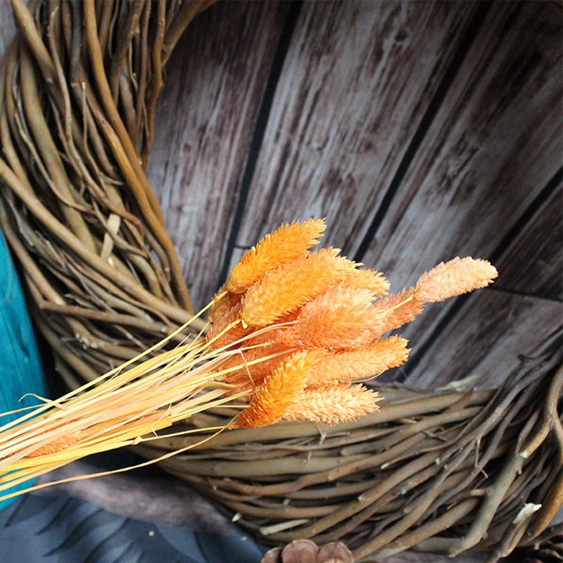 6082317170_1854372444