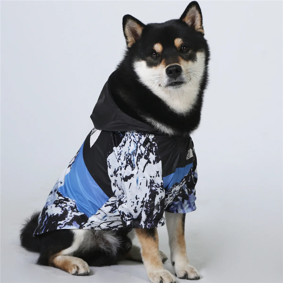 Chubasquero para perros pequeños y grandes, abrigo de viento, Sudadera con capucha de Bulldog Francés para perros, ropa, chaqueta, Chihuahua, cara de perro