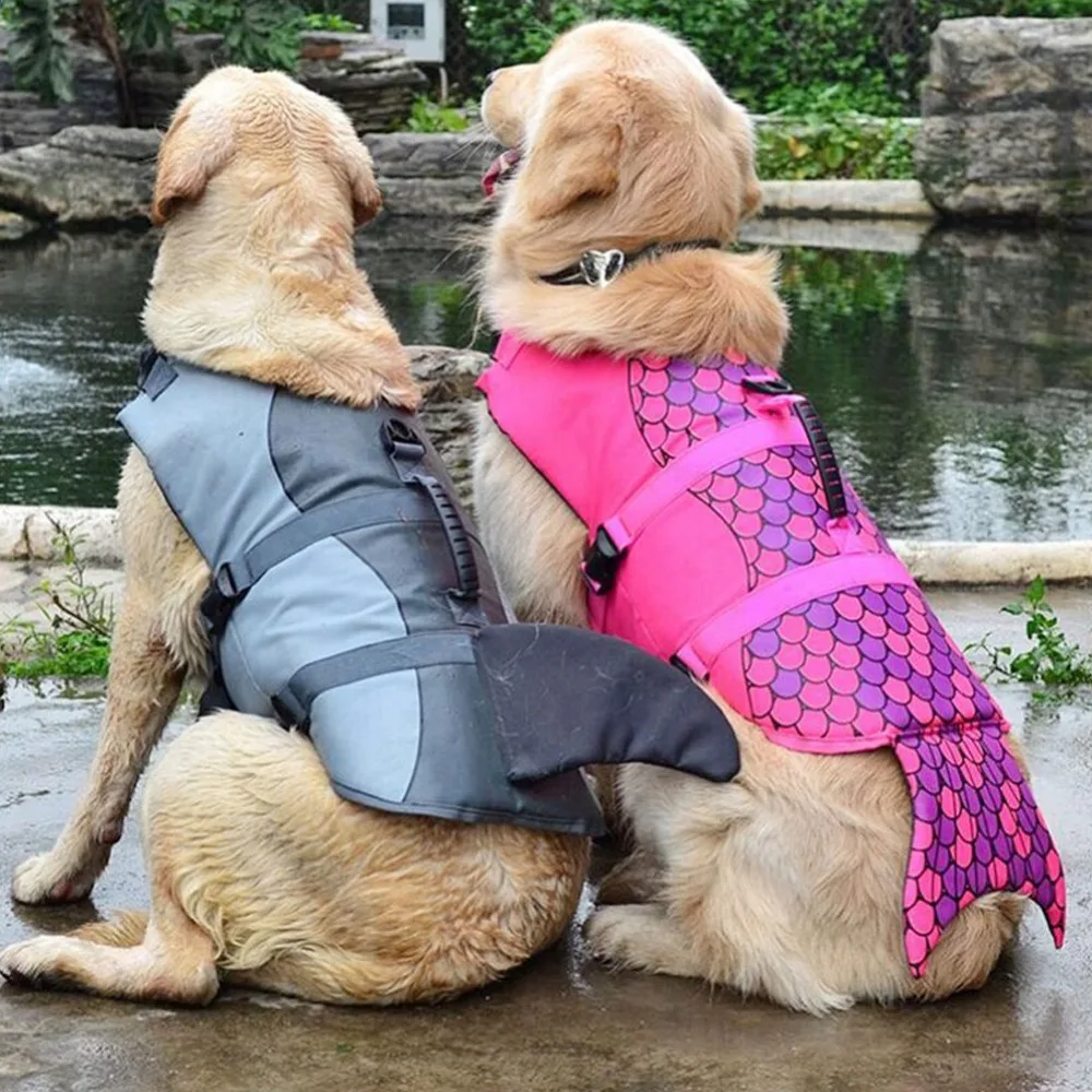 316714_no-logo_316714-1-05-g