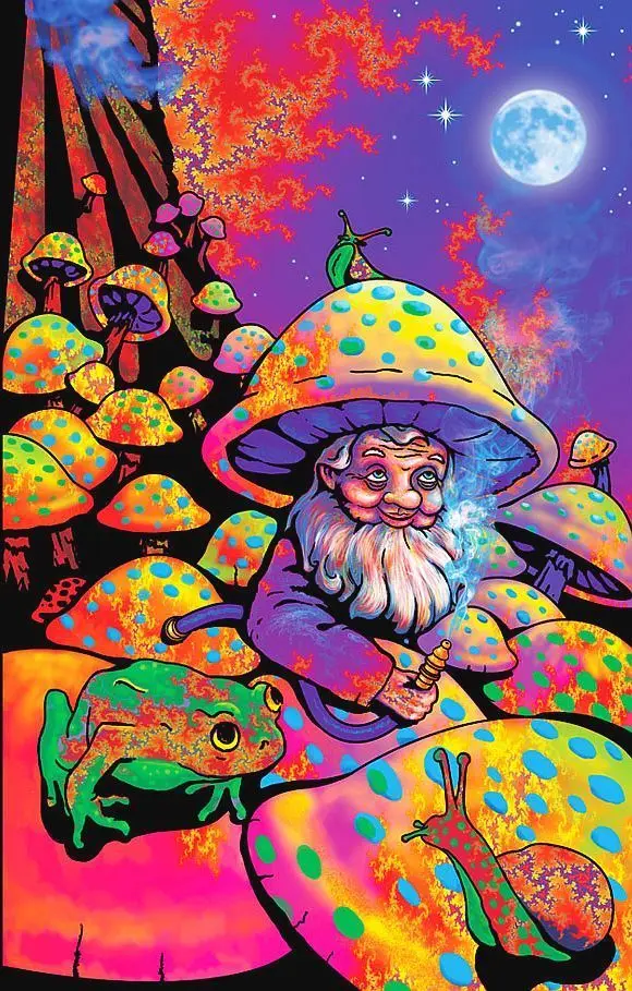 Психоделический Кинг гриб магический Триппи Groovy хиппи Шелковый постер наклейка