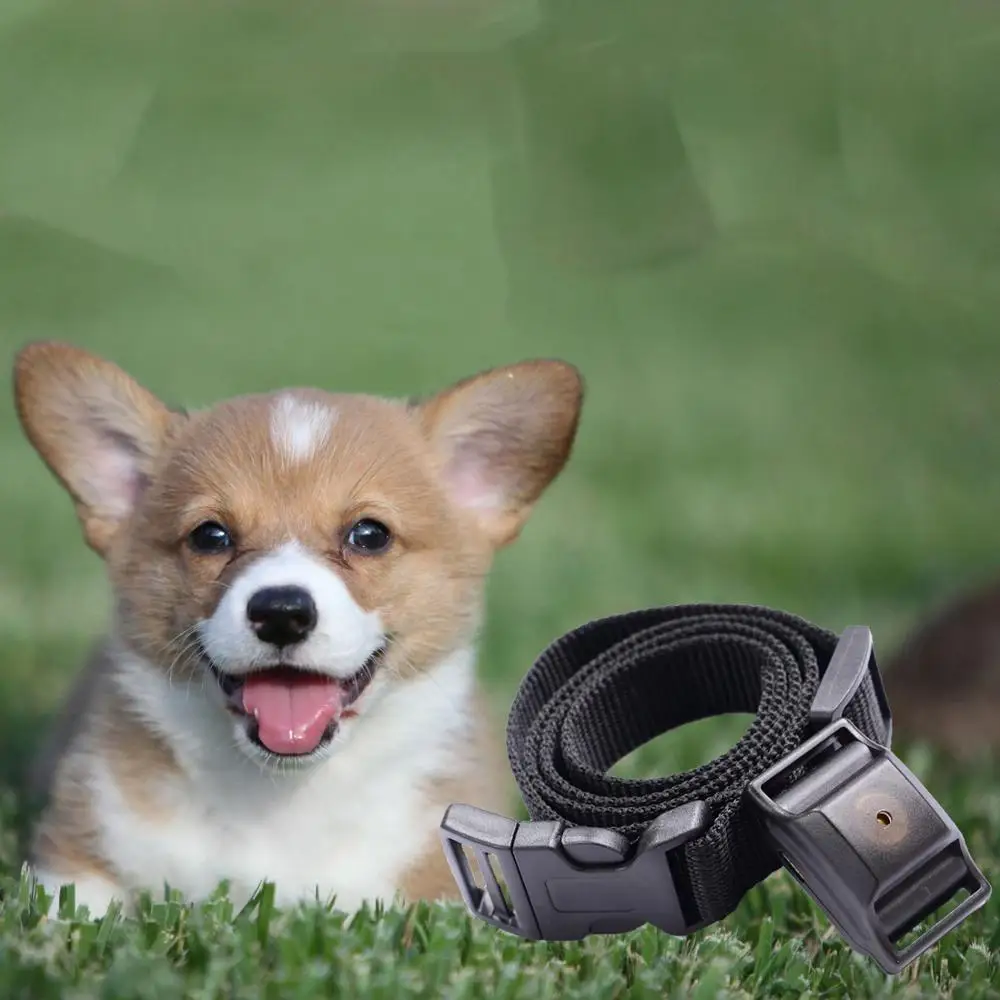 Auto Anti No Bark Control Collar para entrenamiento, perro Stop Barking No Shock Collar para perro pequeño