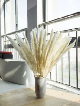 

30pcs Natural Dried Pampas Grass Reed Dried Flowers Natural Phragmites Communis Wedding Flower Bunch Home Decor 60cm Long