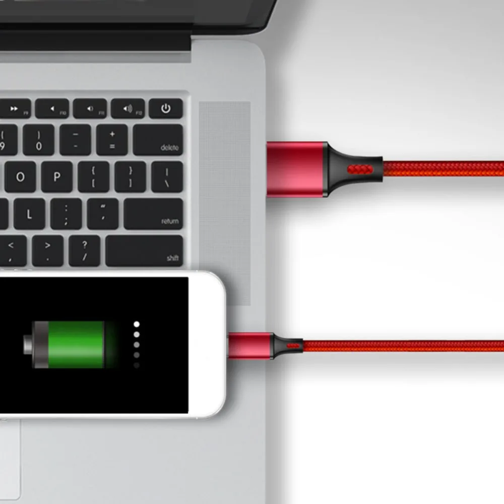 304900_no-logo_304900-1-11-c