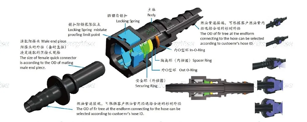 QC-201912_页面_02_WPS图片