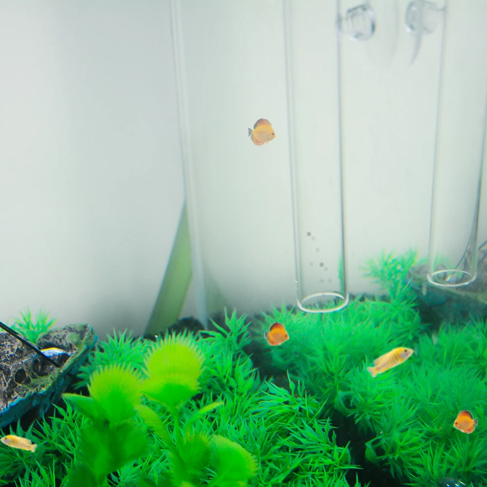 Senzeal Высокое качество аквариум стеклянная кормушка прозрачная трубка чаша Рыба Креветки Кормление еда с 2 шт присосками безопасный
