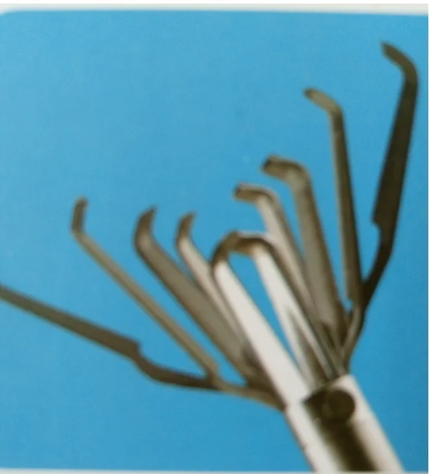 

10PCS Titanium Clip Hemostatic Clip Repeatedly Closed Soft Tissue Clip Harmony Clip Eagle Clip