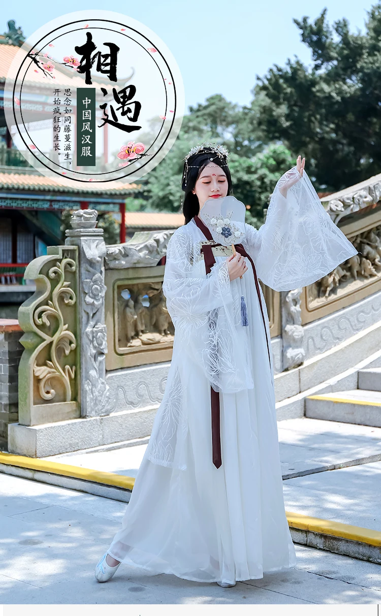 Hanfu китайские танцевальные костюмы Qing платья древняя принцесса шезлонг платье для женщин Традиционный китайский народный танец одежда DL4465