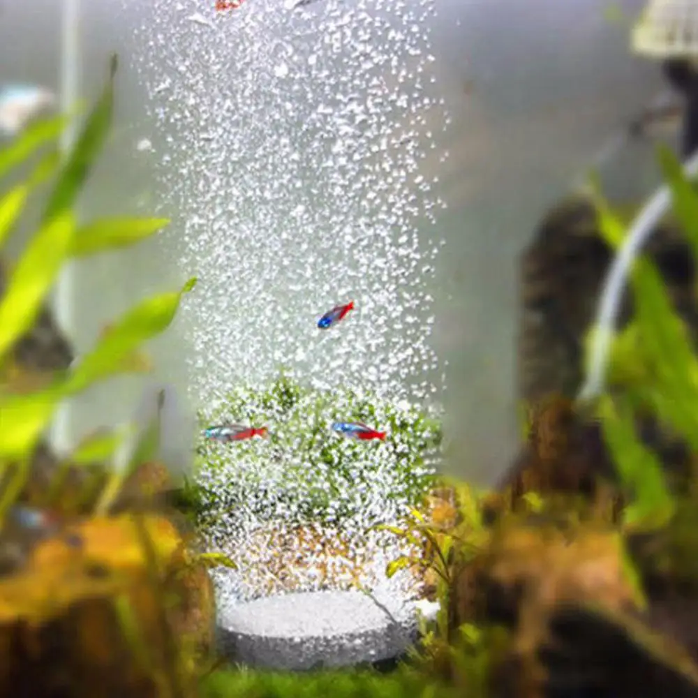 Hot 10/13/20cm Aquarium Air Bubble Stone Fish Tank Hydroponic Oxygen Diffuser Plate