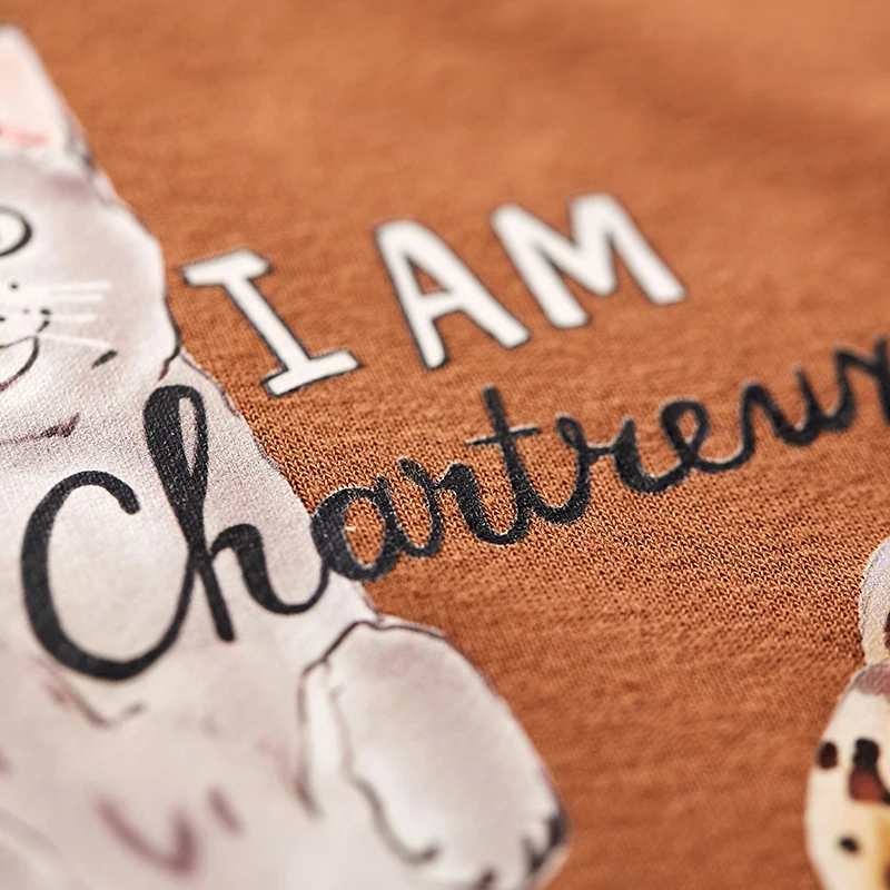 GSM Repeater 2G 3G 4G Cellular Signal Amplifier 4G