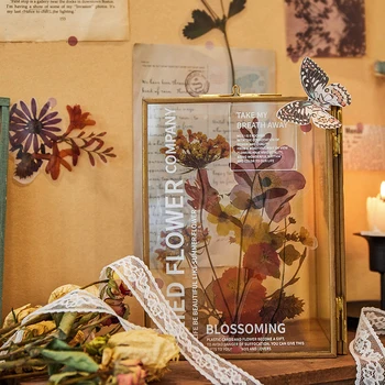 

6PCS/set Big PET orchid Flower Stickers Flora Decals DIY Diary Album Arts Crafts Scrapbooking Decoration