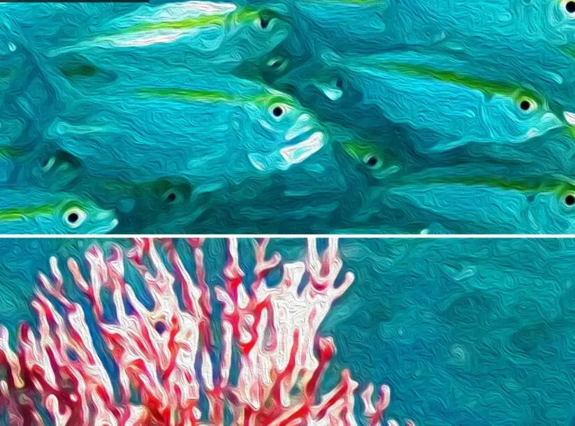 QQ截图20200902204121