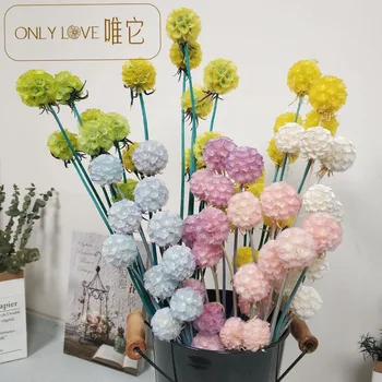 

Eternal Windmill guo song Wormed Fruit bao xian hua Living Room Home Decoration Decoration DIY Natural gan hua shu Real Flowers