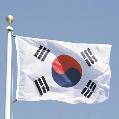 1 pcs 90*150cm South Korea Flag Developed country National Festival Banner History Celebration Events Decor for | Дом и сад