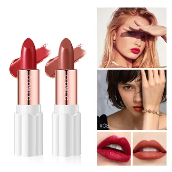 

O.Two.O Cosmetics Highly Pigmented Matte Lipstick Moisturizing Velvet Lip Gloss