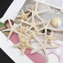 1 ~ 6 piezas 7 ~ 10cm blanco Natural dedo estrella de mar artesanía decoración Natural mar estrella DIY playa cabaña Decoración Para celebración de boda Beige