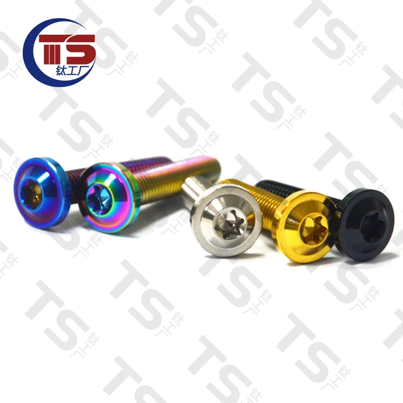TS Titanium Bolt M8X15/20/25/30/35/40/45mm Torx Head Ti Screw for Motorcycle V Brake Forks Parts Fastene（1pc） | Обустройство дома