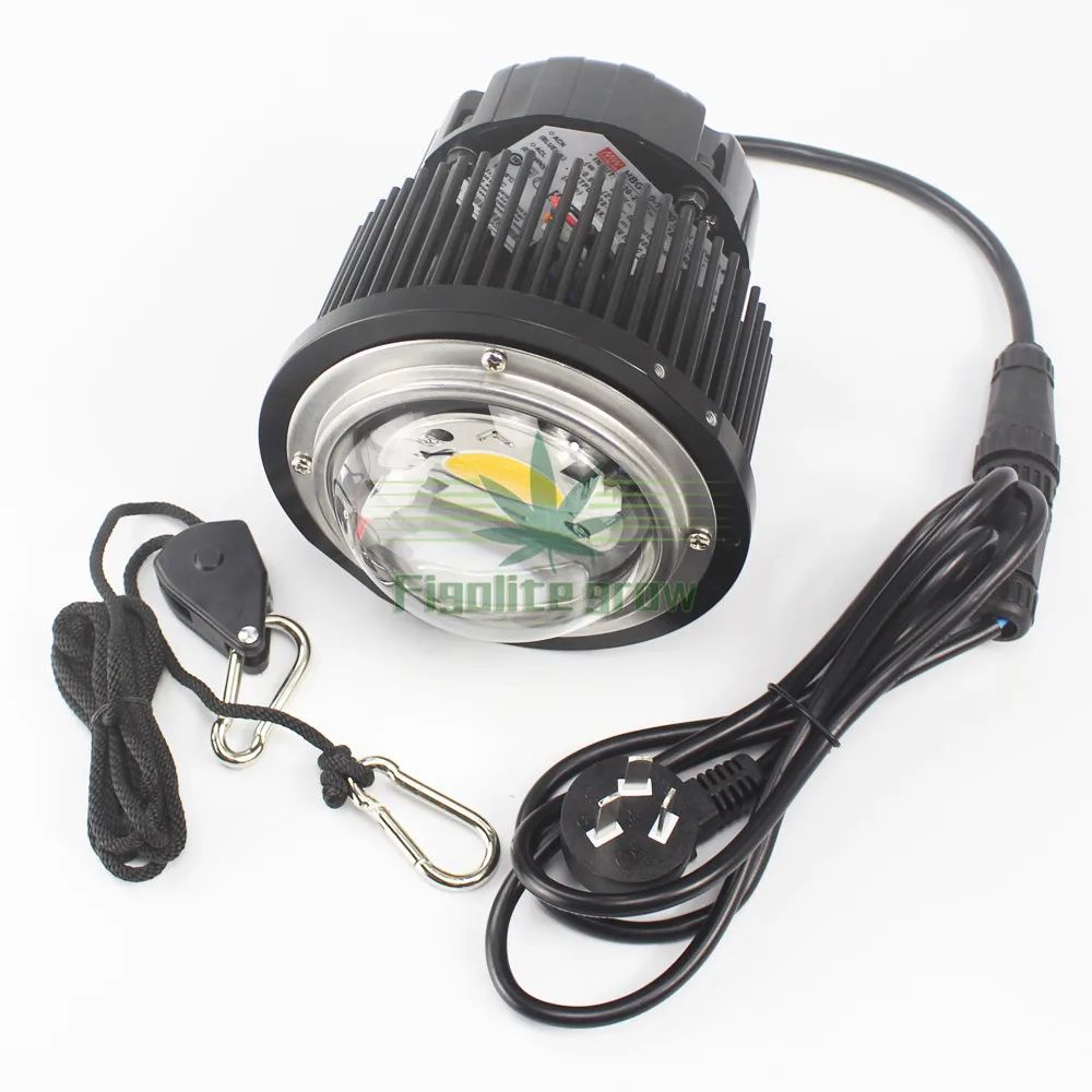 Figolite grow 2020 new arrival Full spectrum 50w COB CXB3590 LED grow light bulb with glass len