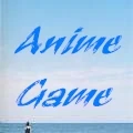 Anime Game Store