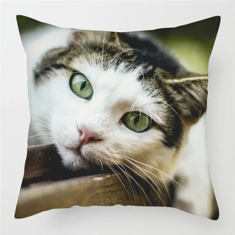 Fuwatacchi милый кот наволочки для подушек канадская безволосая наволочка для подушек наволочка для дивана домашнего стула декоративные наволочки - Цвет: GPC07359