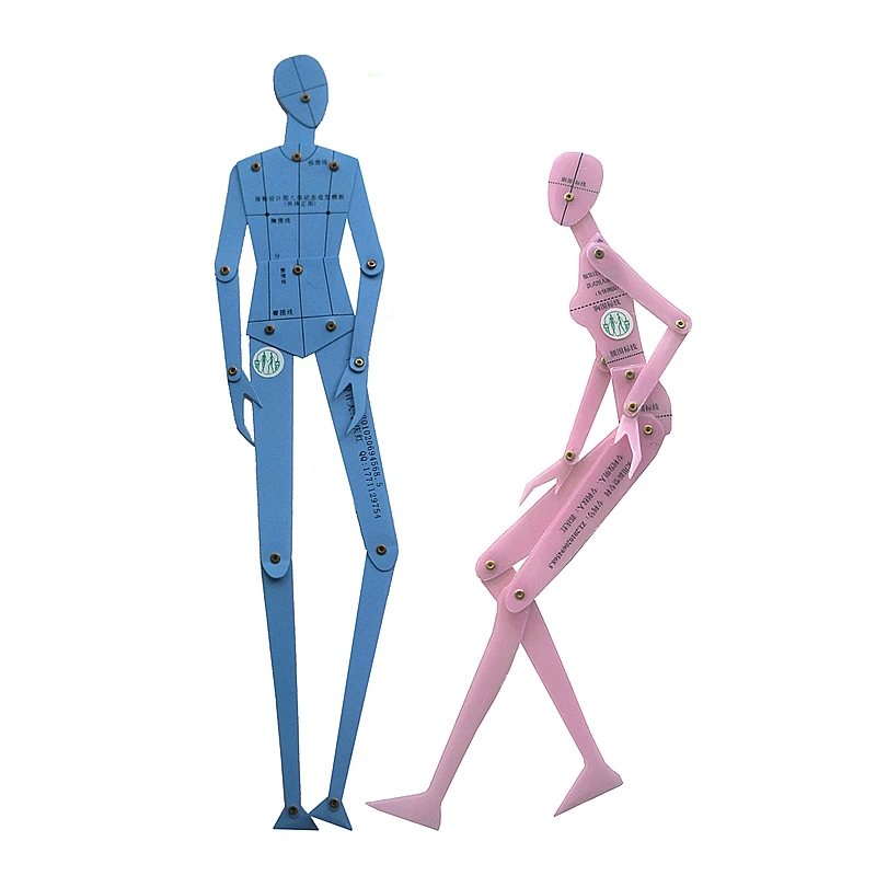 Human Diagram Outline