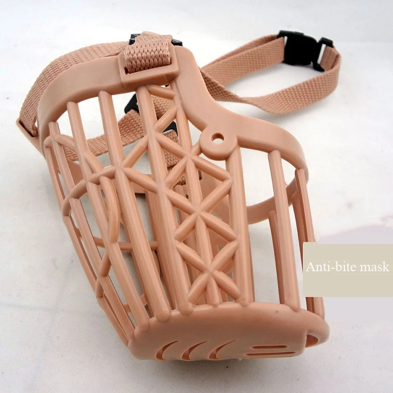 dogs pets accessories