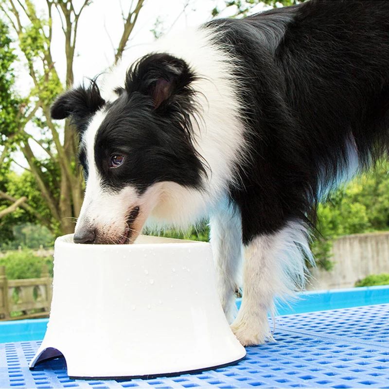 CAWAYI KENNEL Dog Feeder Drinking Bowls for Dogs Cats Pet Food Bowl Comedero Perro Miska Dla Psa Gamelle Chien Chat Voerbak Hond