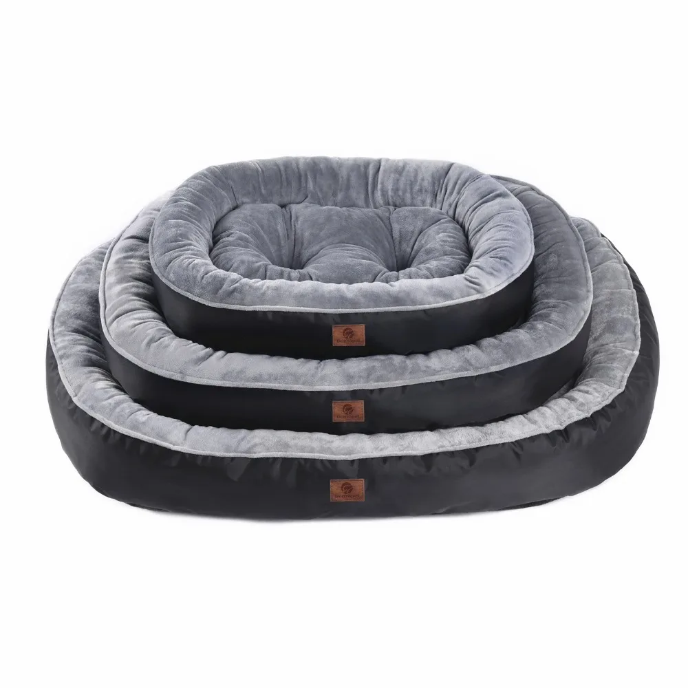 CS5A0529_副本_副本_副本_副本