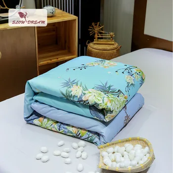 

SlowDream 100% Silk Natural Filler Home Bedding Quilt Blanket Luxury Single Double Healthy 1PCS Comforter Adult Home Textiles
