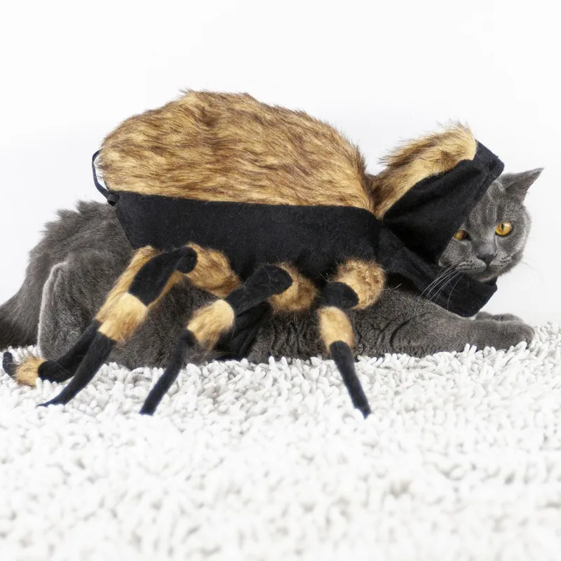 pug spider costume