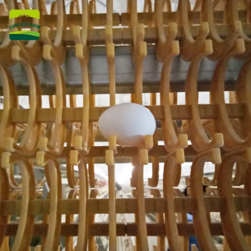 Пояс для сбора яиц автоматический яйцесборный транспортер яйцо от домашней птицы Коллекционная система деталь оборудования для