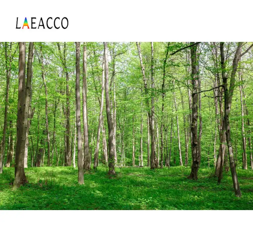 Laeacco Tree Forest Grass Sunshine Autumn Child Natural Scenic Photo Backdrops Photographic Backgrounds Photocall Studio | Электроника