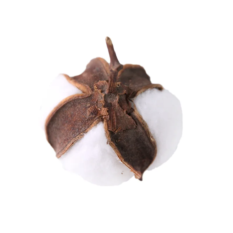 12440546628_1180193642