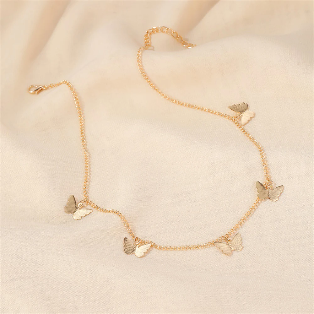 15646594294_2130544268