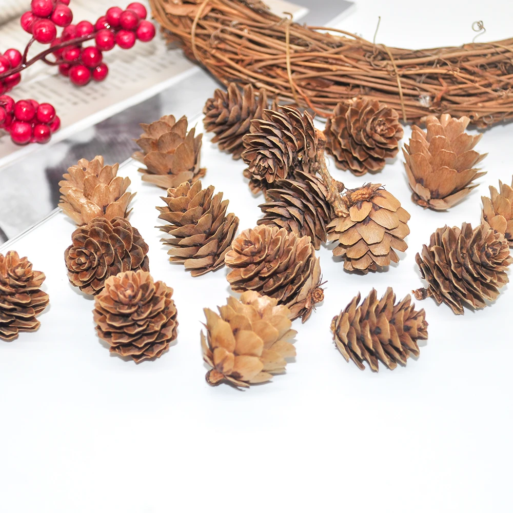 Natural pine cones (7)