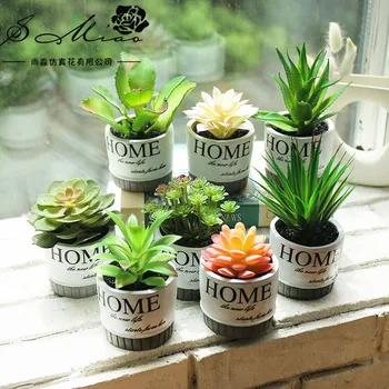 

New Style Model Succulent Bonsai Creative Decoration Artificial Flower Model Plants Potted Plant
