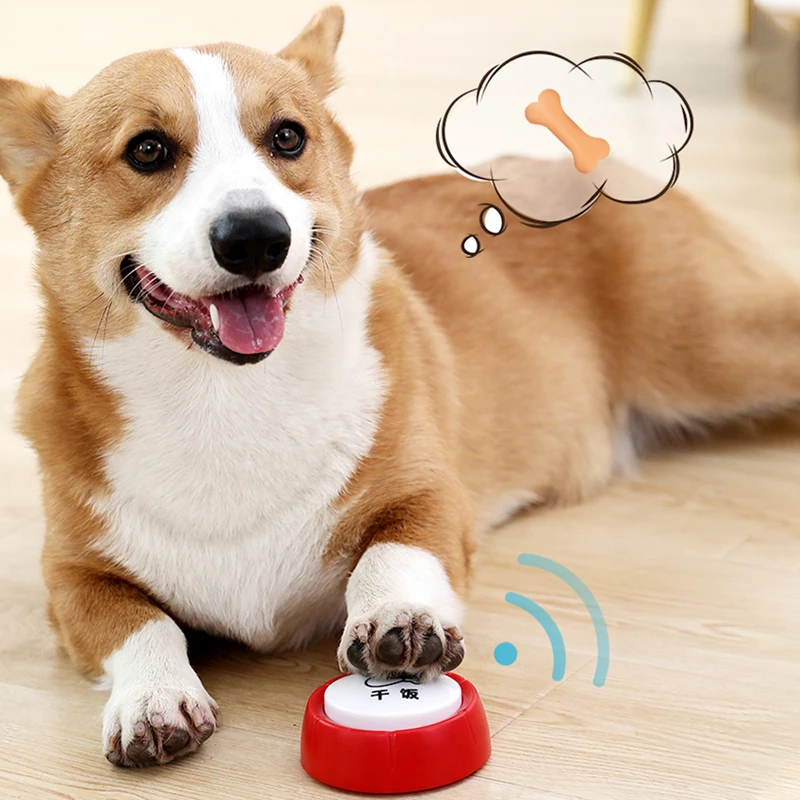 HOOPET Bite Resistant Sounding Toys For Dogs Pet Communication Button Dog  Training Toy Self-entertainment Toys Dog Supplies - AliExpress