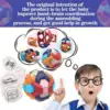Assembled Piggy Bank 3D Puzzle Ball Intelligence Building Blocks Educational Toy Parent-child Interactive Game Children Toy Gift 1