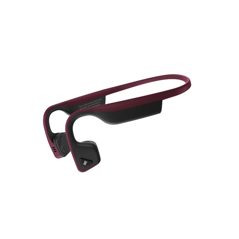 Trekz titanium