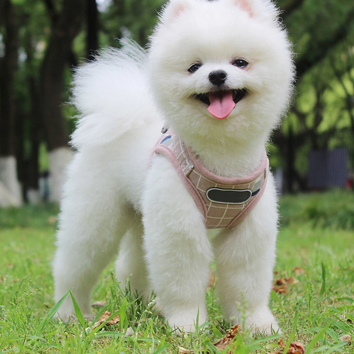Pet Dog прогулочная шлейка дышащий прогулочный жилет ремень для маленький щенок плюшевый Светоотражающий Поводок для прогулок наборы