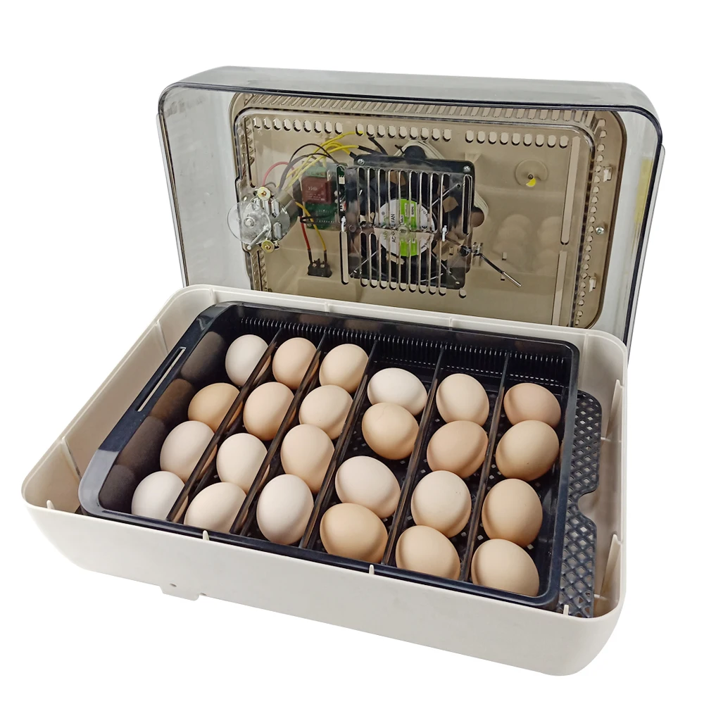 

Electric Hatchery Good Small Egg Incubator With 24 Capacity Professional Farm Egg Hatching Machine 85W