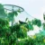 2m / 4mx10m Anti Bird Protect Tree Net Fruit Crop Plant Garden Pond Netting Mesh