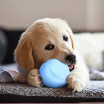 

Candy Color Bite Toys Ball Dog Pet Teeth TPR Foam Molar Chew Cleaning Puppy Playing Training Funny Chewing Supplies