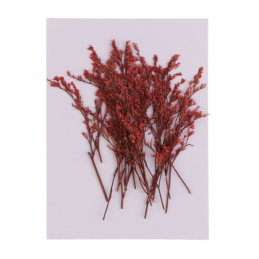 20 Pieces Dyed Red Limonium Dried Flowers Embellishments for DIY Phone Case Decoration Handmade Resin Casting Ornament 7-10cm