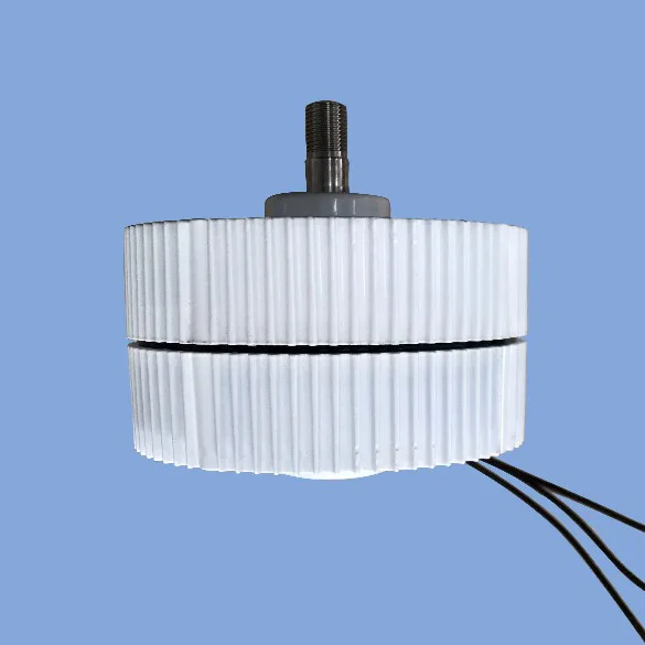 2020 Лидер продаж низкая поворот Скорость 300W AC12V/24V Выход постоянный магнит