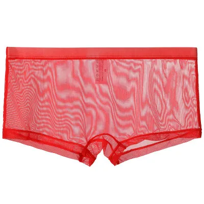 Mens Underwear Seamless Panties Men Sexy Ultra-thin Mesh Transparent Underpants Comfortable Breathable Underwear Man Boxer 5
