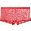 Mens Underwear Seamless Panties Men Sexy Ultra-thin Mesh Transparent Underpants Comfortable Breathable Underwear Man Boxer 5