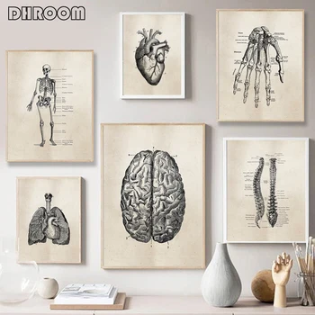 

Human Anatomy Artwork Medical Wall Pictures Muscle Skeleton Vintage Posters Nordic Canvas Prints Education Painting Modern Decor